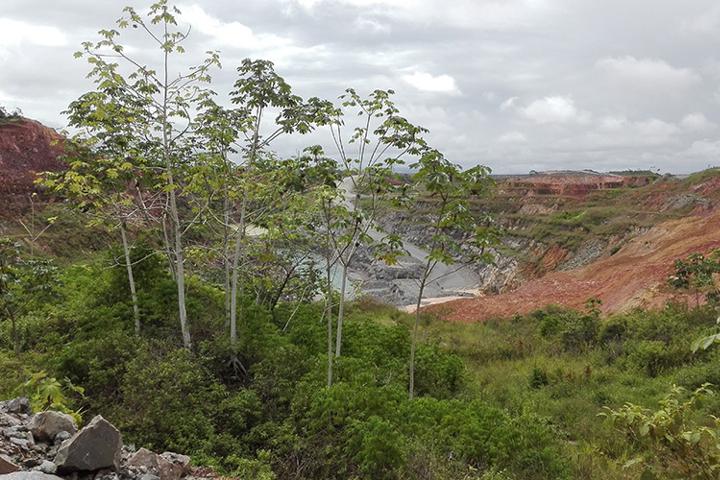 open pit goldmine Suriname
