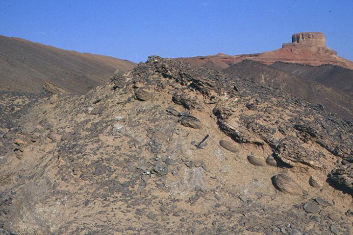 Outcrop-Morocco