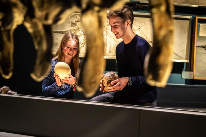 Onderzoeken jongen meisje zaalprogramma dierenliefde