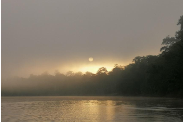 Een nieuwe dag op de Kinabatangan rivier. Foto: Thomas Komin.