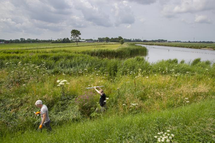 Natuurvriendelijke oever (Bron: Krijn Trimbos, BioMon)