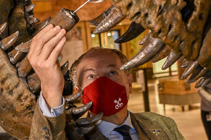 De Leidse burgemeester Henri Lenferink plaatst symbolisch de laatste tand in de ge-3d-printe schedel van Trix.