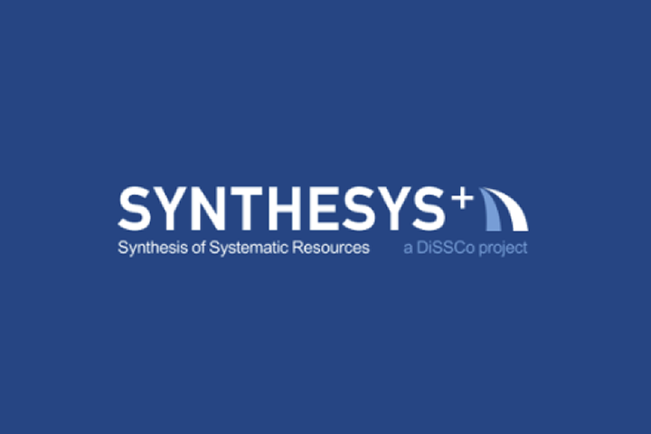 Synthesys