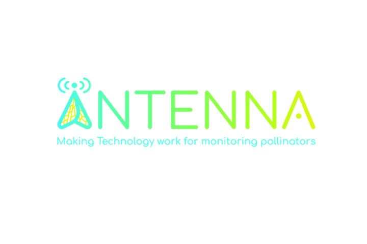 ANTENNA logo