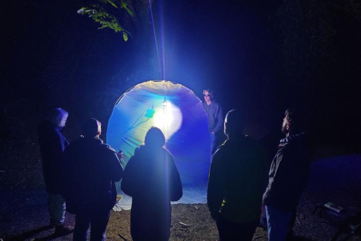 Bezoekers bij een verlicht scherm dat bedoeld is om nachtvlinders te vangen