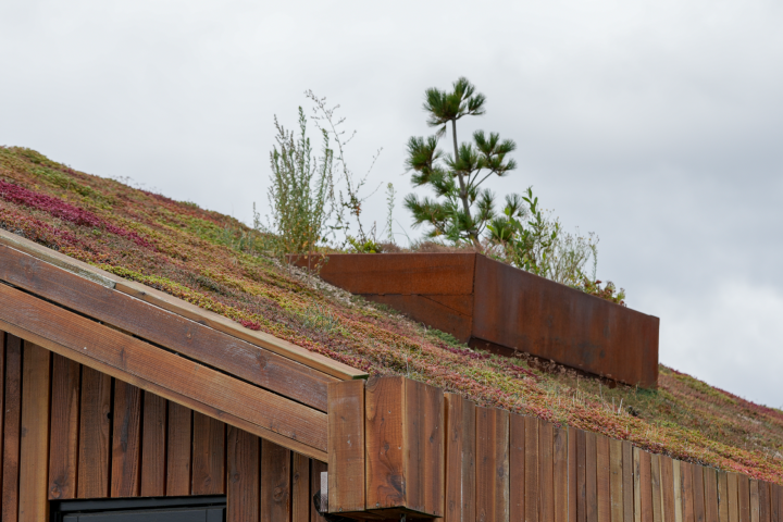 Een voorbeeld van een groene dak