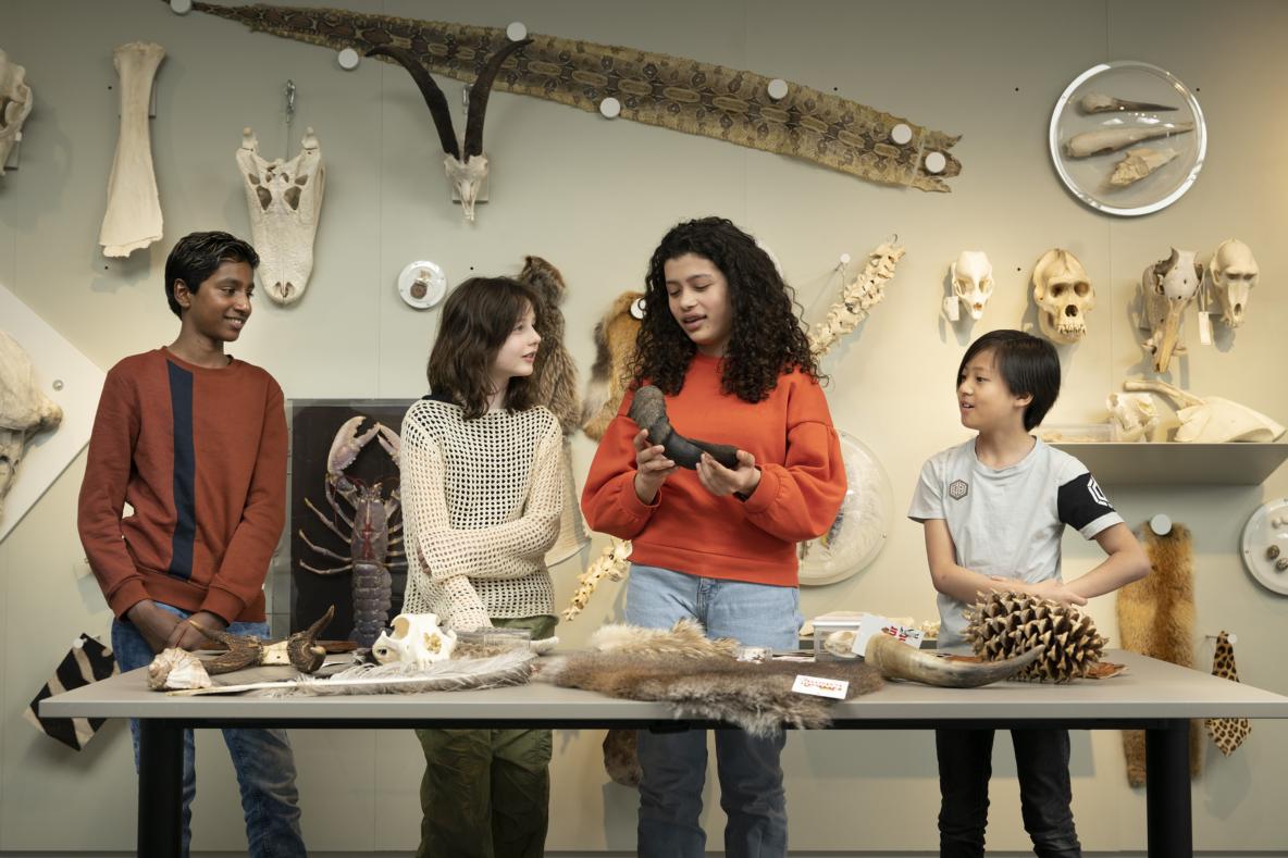 Workshop Dit is Naturalis