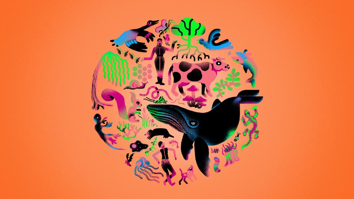 Manifest JongerenXNaturalis