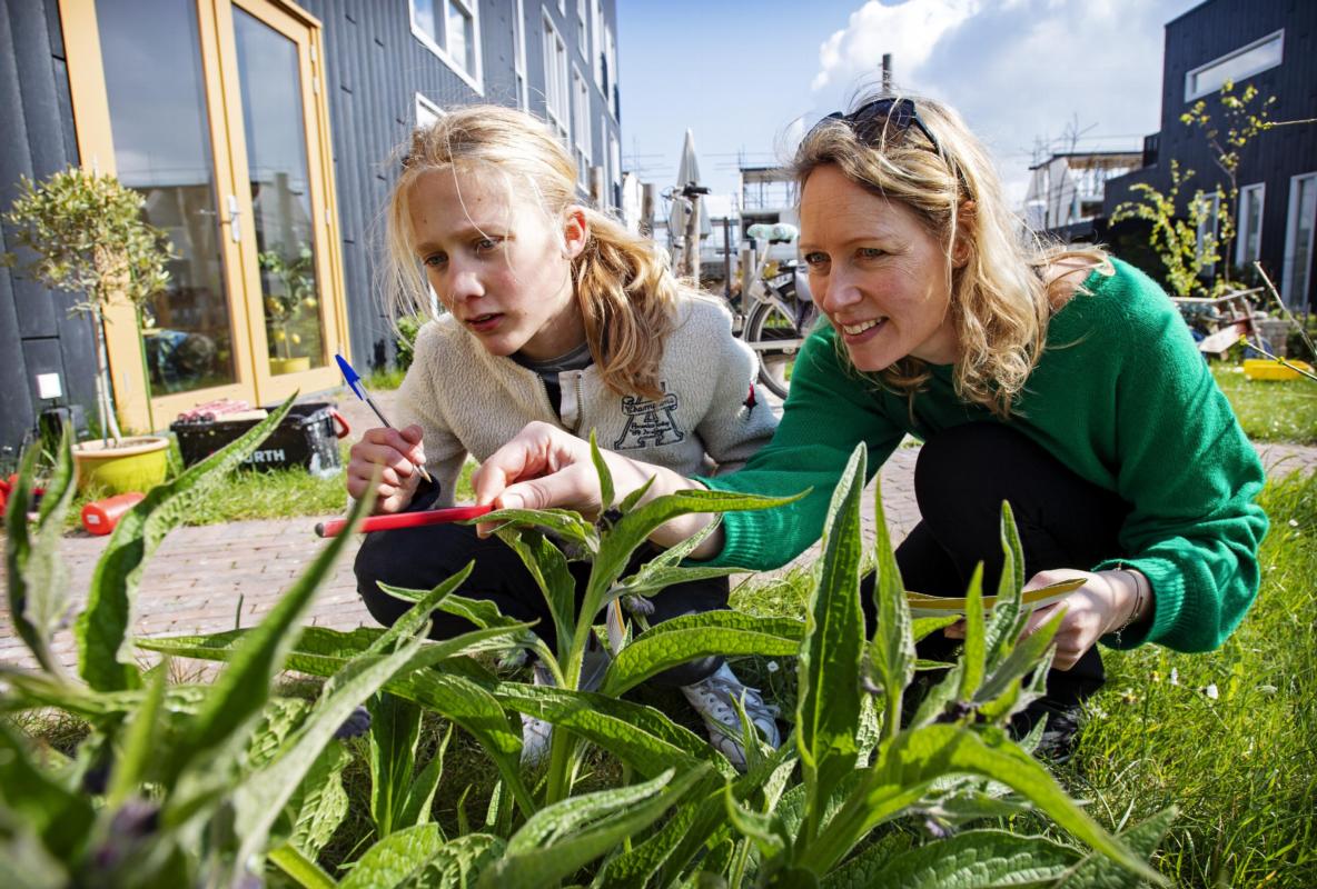 Natuur ontdekken in je achtertuin