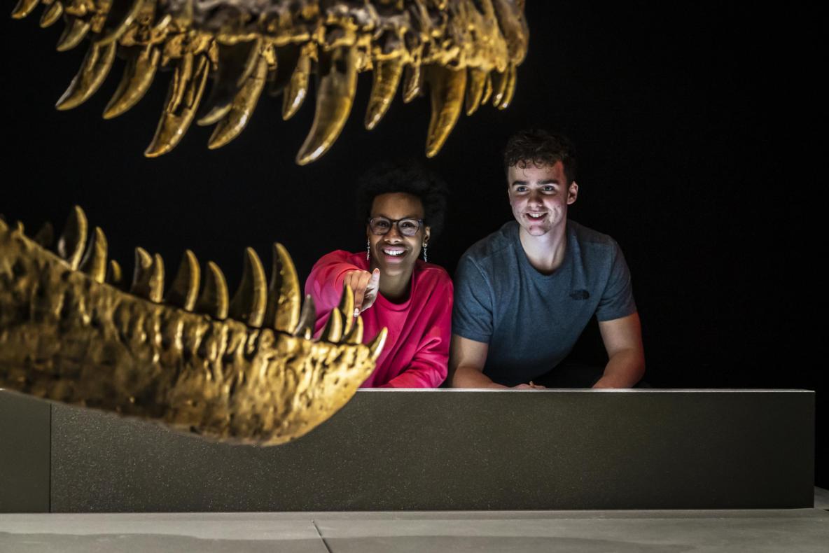 Educatie bij Naturalis