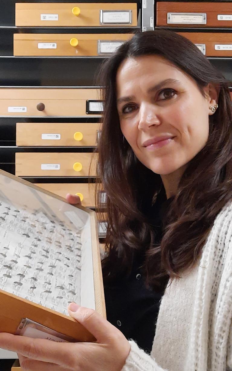 Mónica Guimarães Cruz, Collection Manager Diptera, Chelicerata, Myriapoda and small insect orders