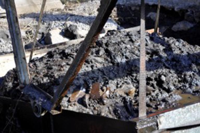 Dodo-fossielen bij opgraving