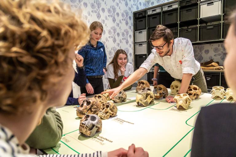 Fossielen en evolutie workshop schedels