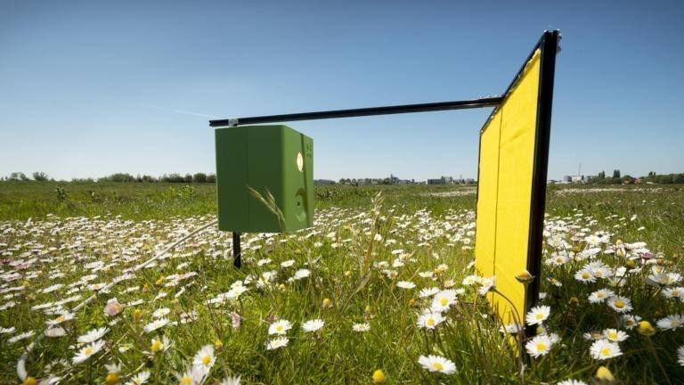 Automatische insectencamera