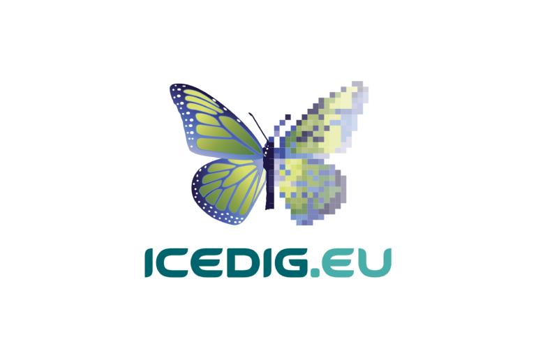 ICEDIG Design Study
