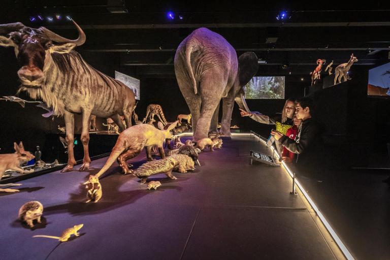 Kinderen in zaal leven