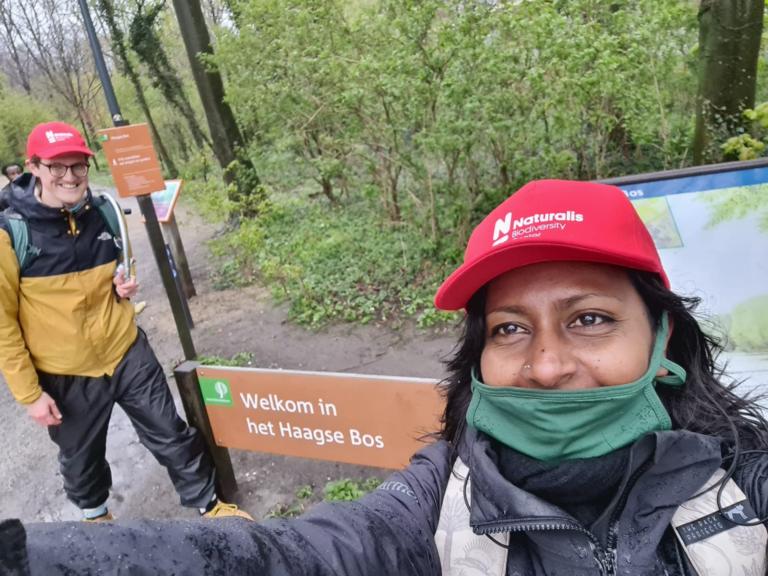 Naturalis-museummedewerkers zijn actief in natuurgebieden van Staatsbosbeheer (bron: Reshma Dijkstra)
