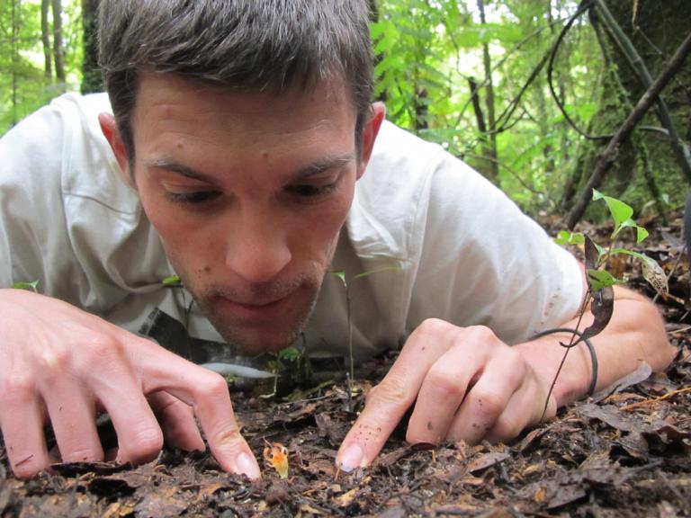 Vincent bekijkt een bladgroenloze plant