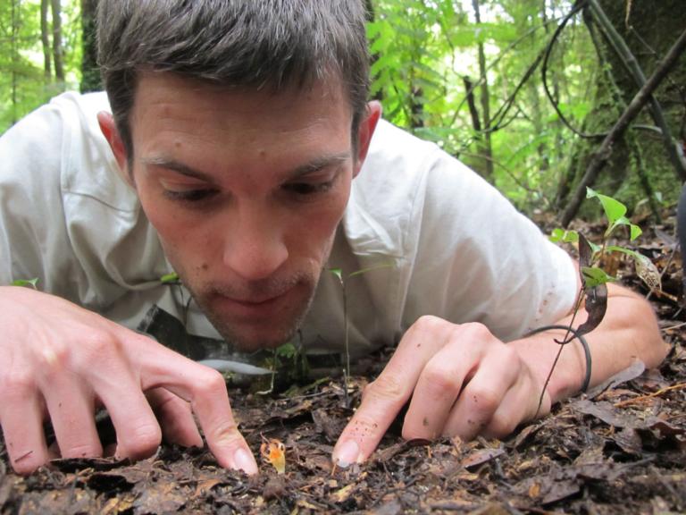 Vincent bekijkt een bladgroenloze plant