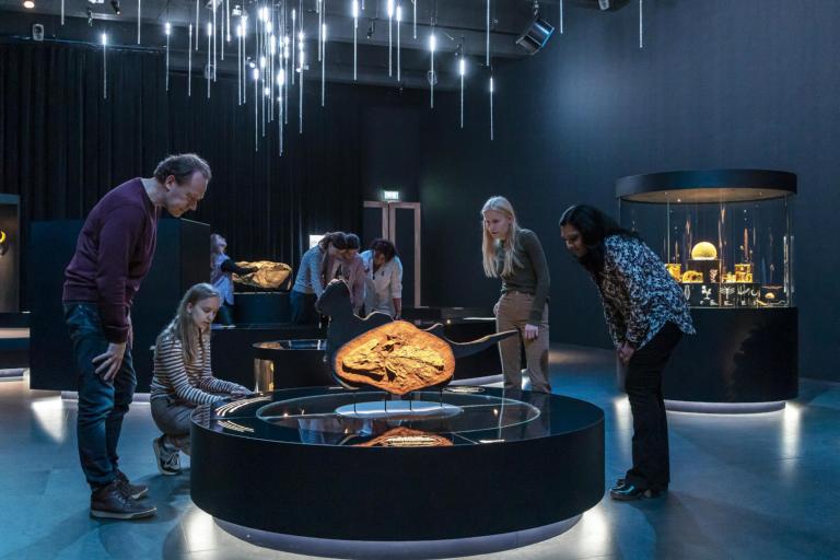 De zaal Evolutie met bezoekers