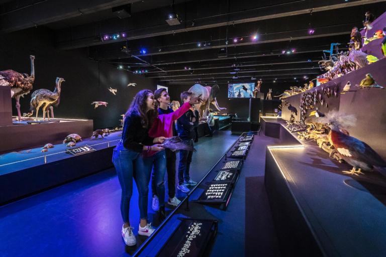 Kinderen in zaal leven