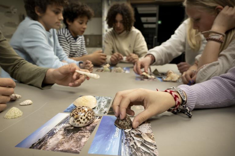 Workshop Dit is evolutie