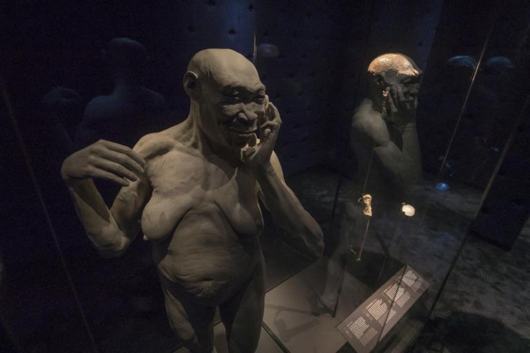 De drie homo erectus fossielen naast een reconstrutie van homo erectus