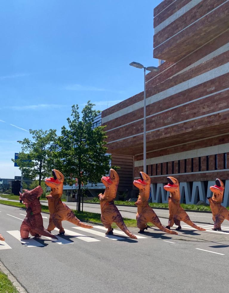 Zeven opblaasdino's op het zebrapad bij Naturalis