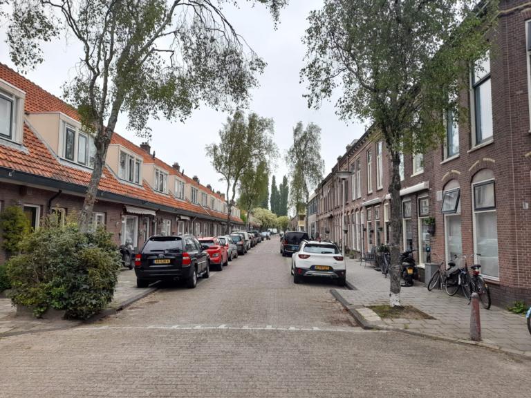 Met berken beplante 'Os en Paardenlaan', een voorbeeld van een straat met sterk allergene bomen (credit: Naturalis)