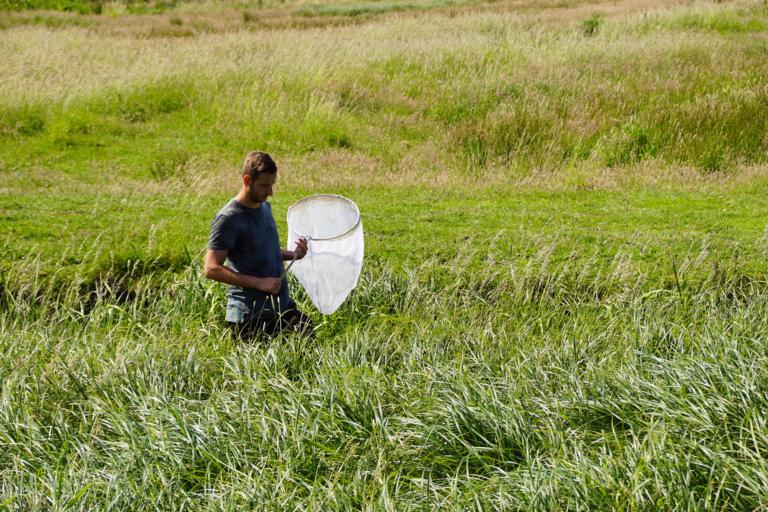 Onderzoeker met insecten net