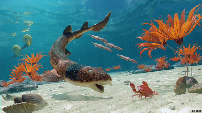 De nieuwe haaiensoort zou geleefd hebben in de warme tropische wateren die uiteindelijk delen van het Verenigd Koninkrijk zouden vormen. (c)Julio Lacerda