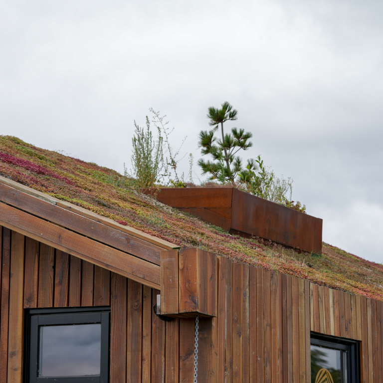 Een voorbeeld van een groene dak
