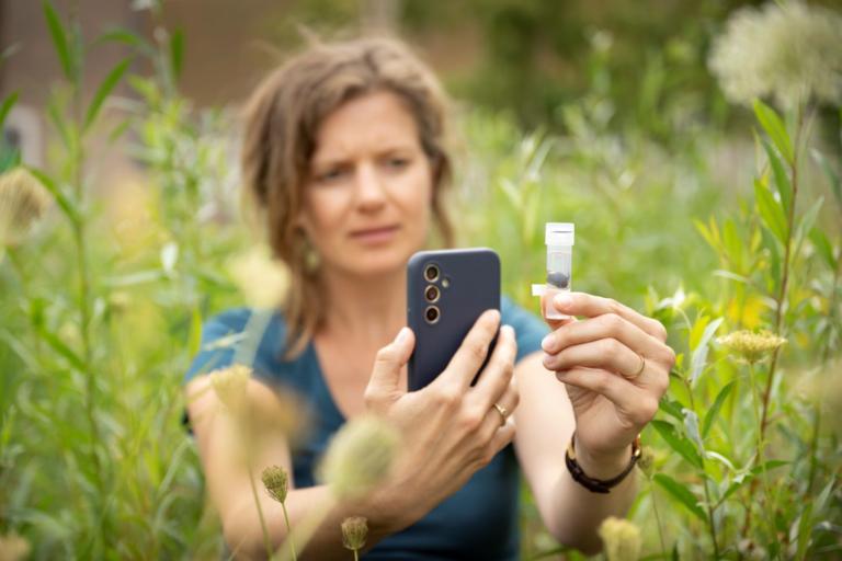 Monsters nemen in het veld Credit Taco van der Eb