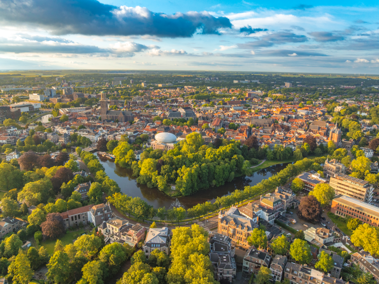 Bestuiving door een bij